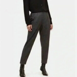 Aritzia Babaton Dexter Pant Pull-on Wool Cashmere Pants Gray